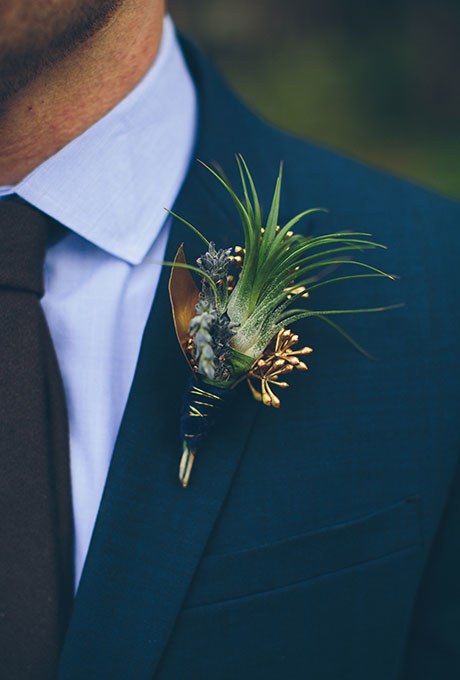 Modern air plant pin on boutonniere with gold accents.